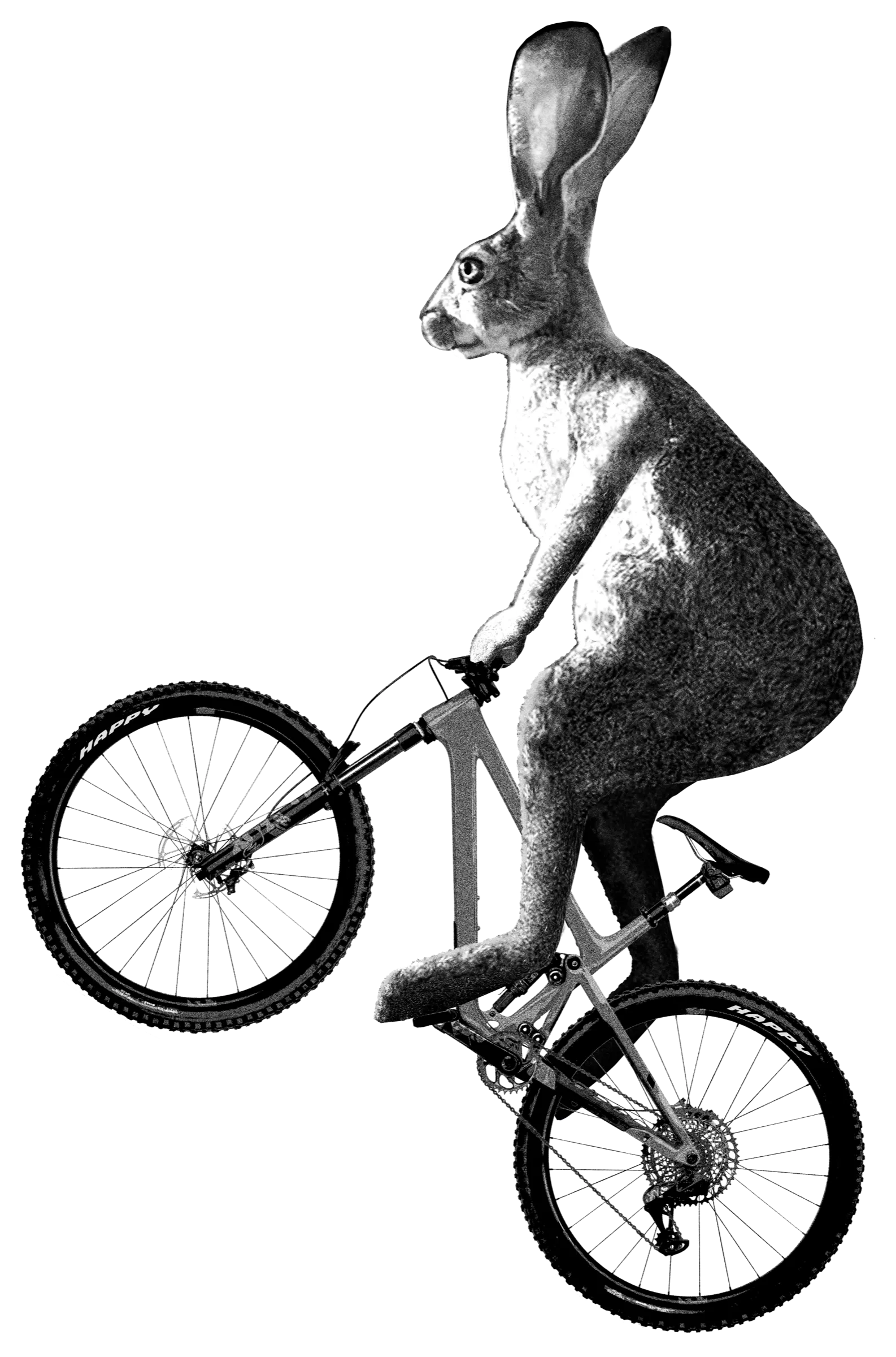 Bunny Hop t-shirt illustration with a mountain-biking theme